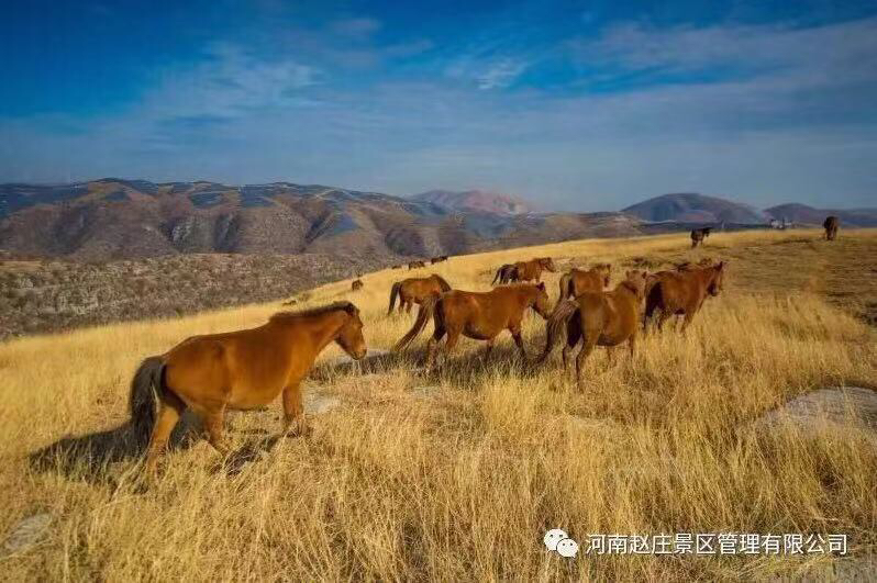 淇县灵山赵庄古村,河南小众古村落
