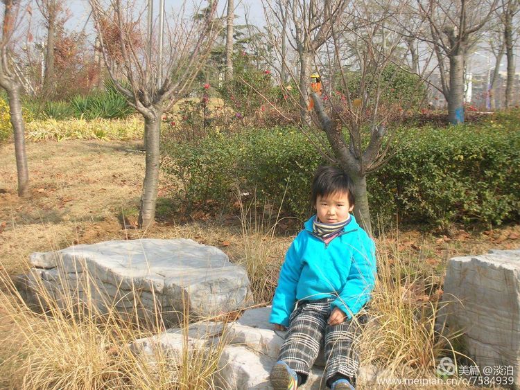 宝宝成长记小说,宝宝成长记