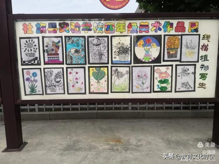 社旗县实验学校全景图,小学音体美教学质量考核方案