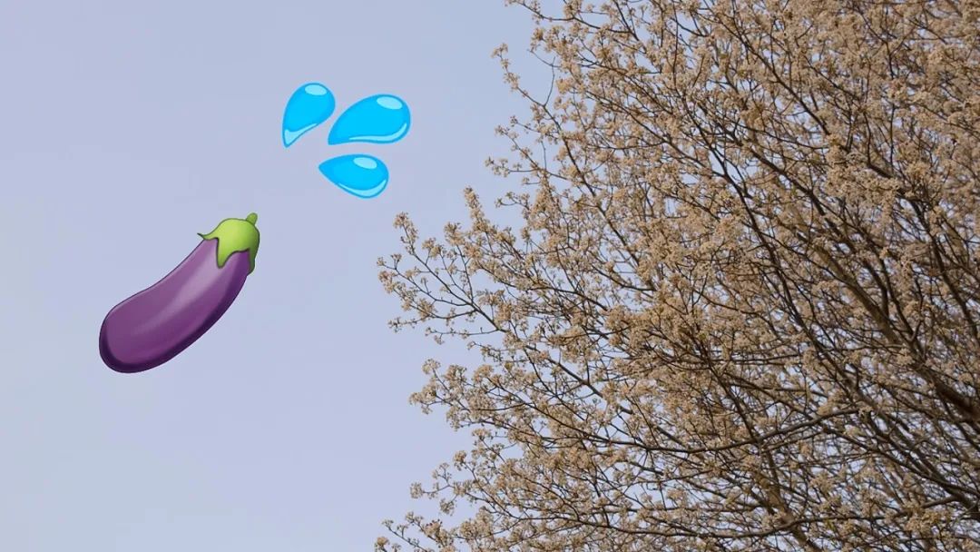 为什么不反感石楠花的味道,石楠花为什么是生命的味道