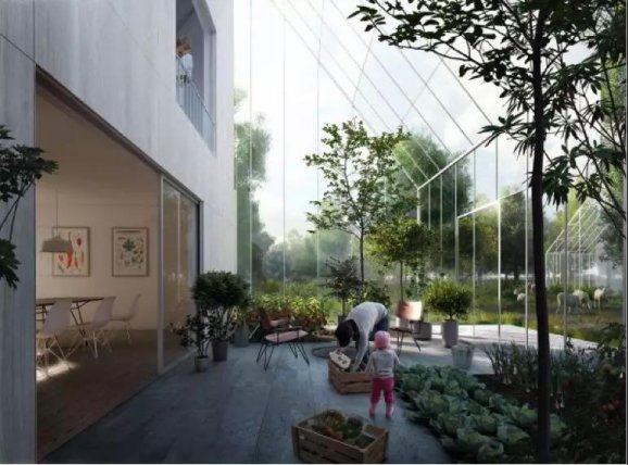 用现代科技过原始人生活,用现代科技过上原始生活