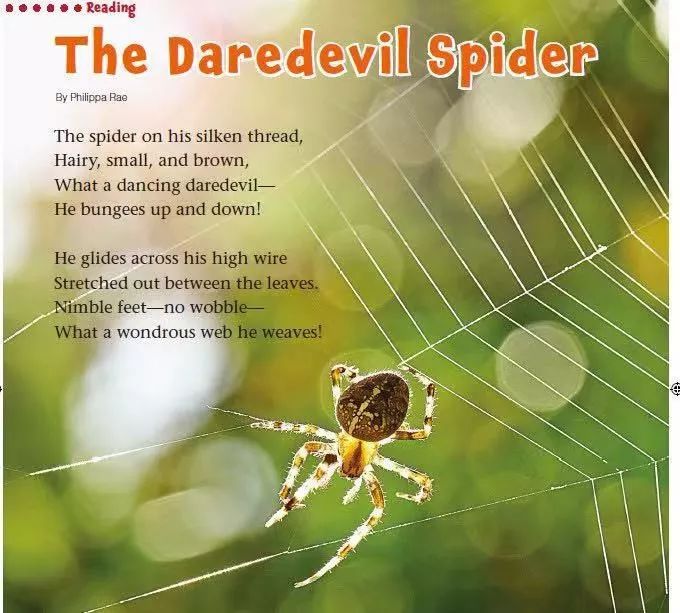 班主任推荐的书目,班主任方面的杂志推荐