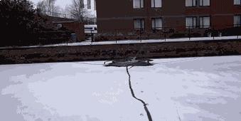 搞笑动图gif微信可爱表情包,搞笑动图gif微信表情包2019