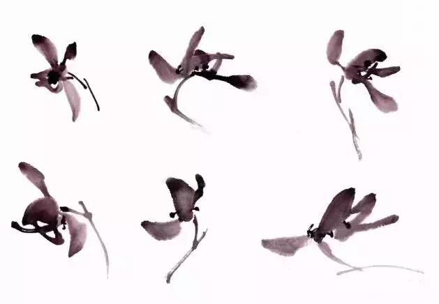 徐湛国画兰花的画法,徐湛国画兰花的画法视频教学