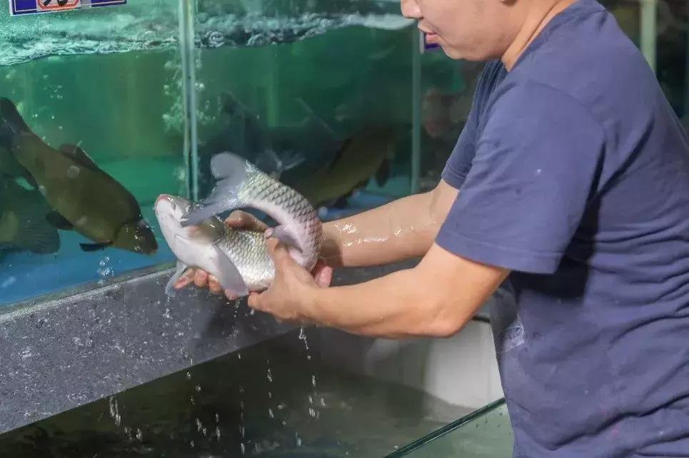 浣涘北鏈夐棿浜烘皵鐖嗘鍐滃簞,浣涘北閲戠墝鍐滃簞