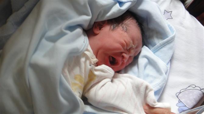 胎儿在母体内长大图片,胎儿在体内如何发育视频