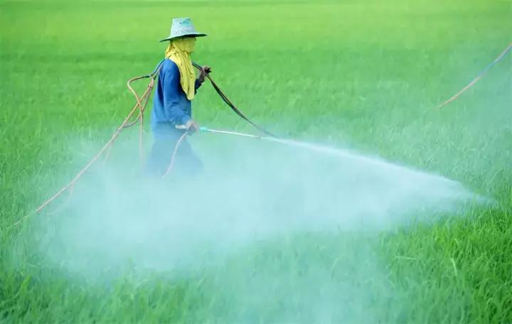 农业趣味冷知识,冷知识洗衣粉