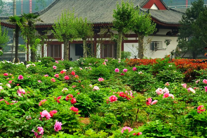 西安莲湖区20个旅游景点,3个是公园,其他17个历史底蕴丰厚