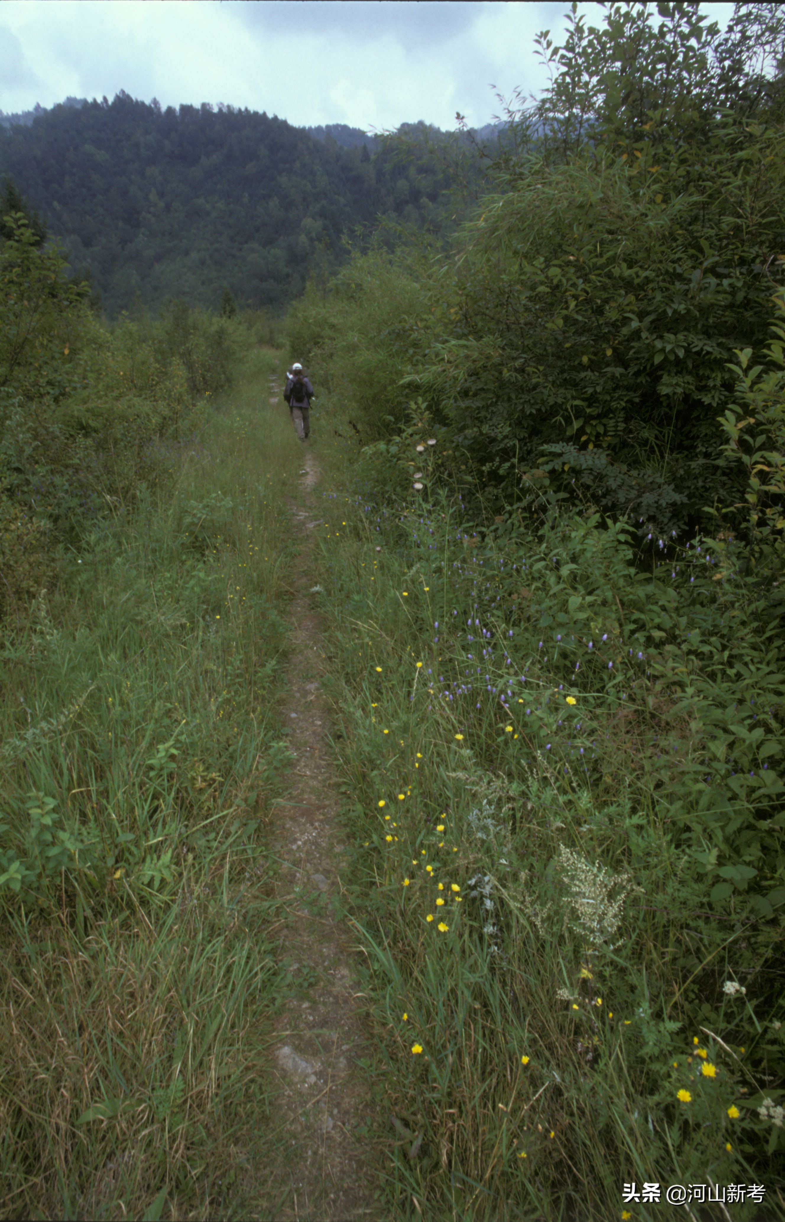 秦岭古栈道老照片,寻访秦岭古村落的感受