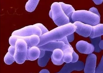 动物的有趣知识视频,动物的趣味常识视频