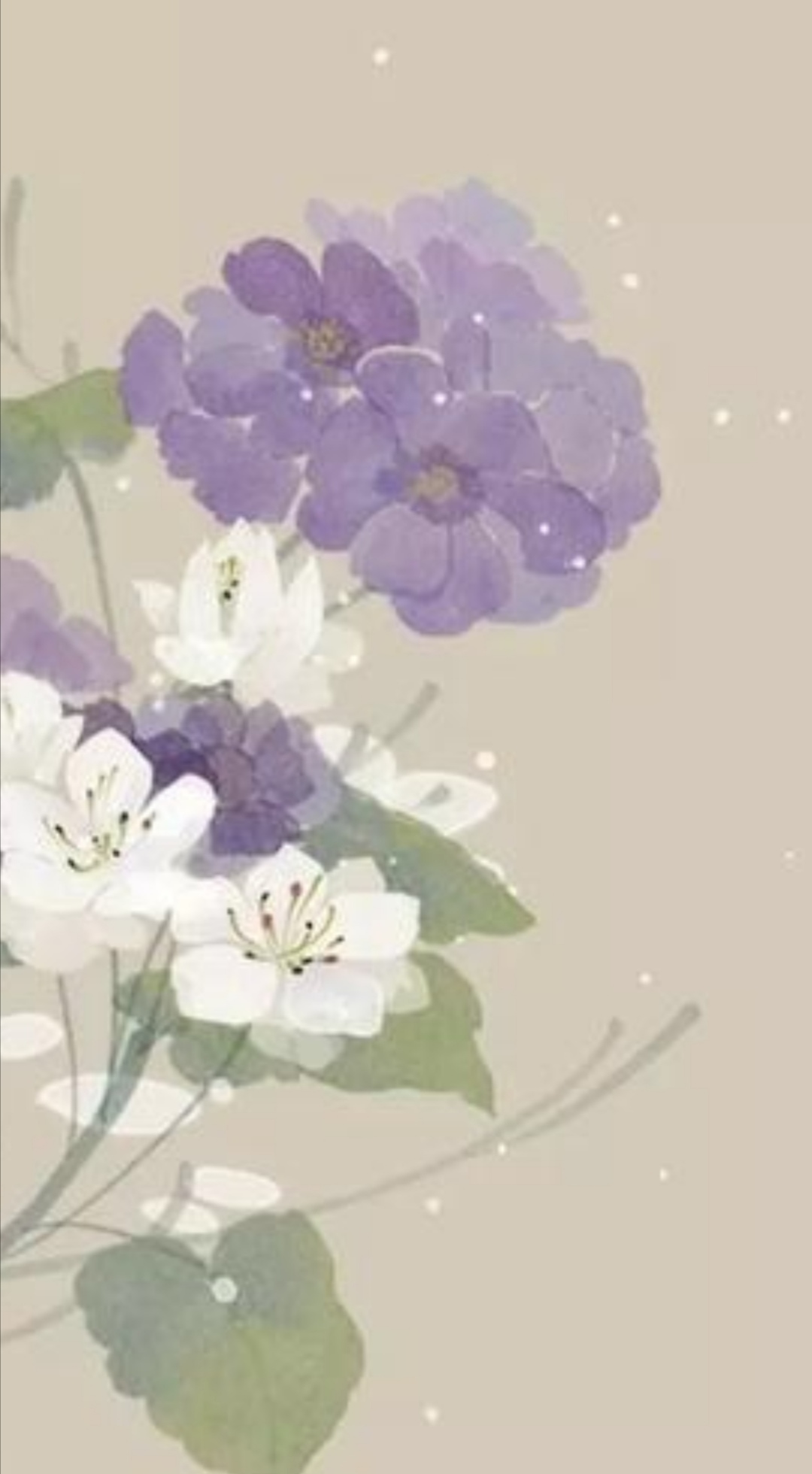 随笔浮云,浮云散文欣赏