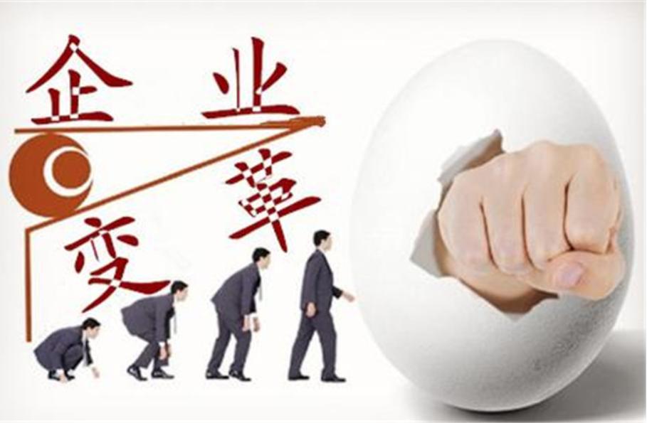 什么是企业管理公司,企业管理咨询公司是做什么的