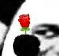 你们天天喊吃瓜吃瓜，那吃的这个瓜为什么是西瓜啊？