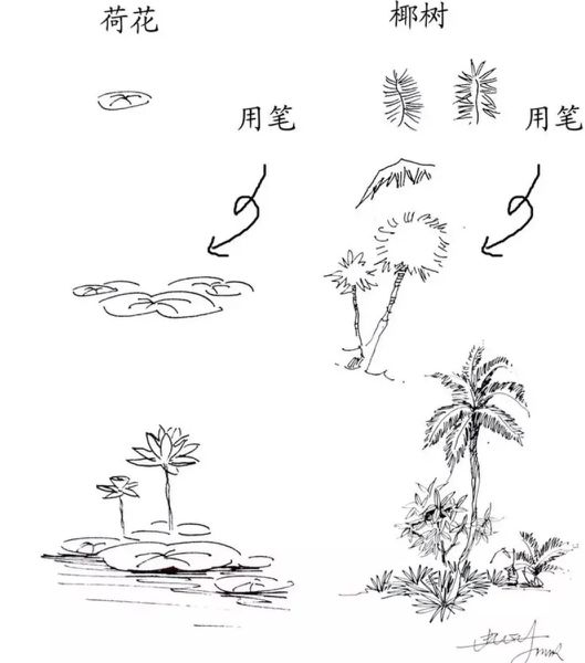 速写风景简单入门视频树木石头,干货40种水彩花卉临摹素材