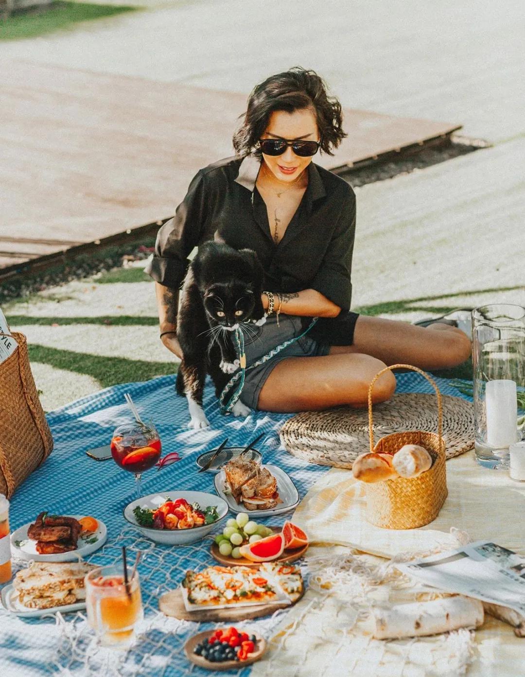 爱宠大作战纪录片,爱宠大作战一口气看完