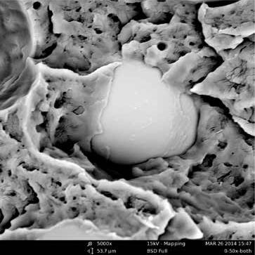sem扫描电镜原理及应用,sem扫描电镜分析的作用