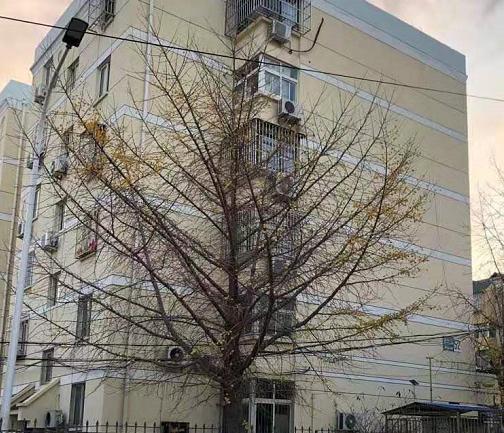 青岛的冬天是多风和冷的,不刮风会怎么样