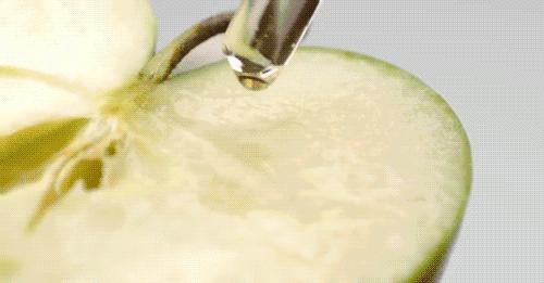 魔法城堡的女生,魔法城堡里的女孩