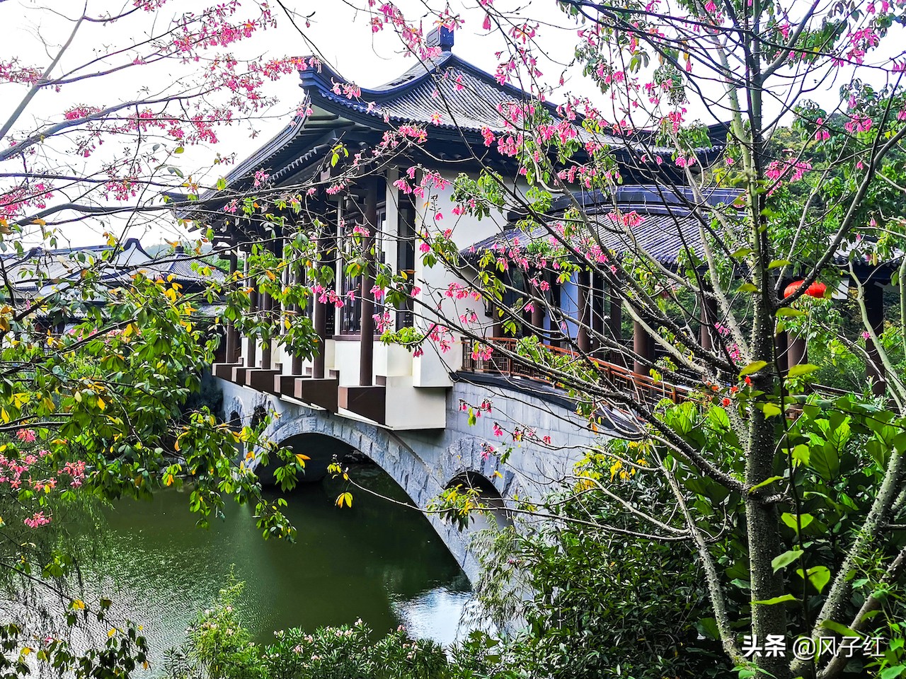 惠州温泉度假酒店排名第一,惠州亚洲第一温泉