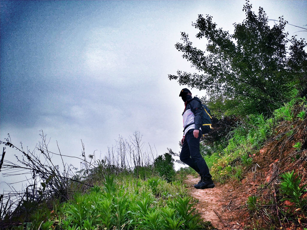 猛犸象什么装备好,猛犸象装备如何配