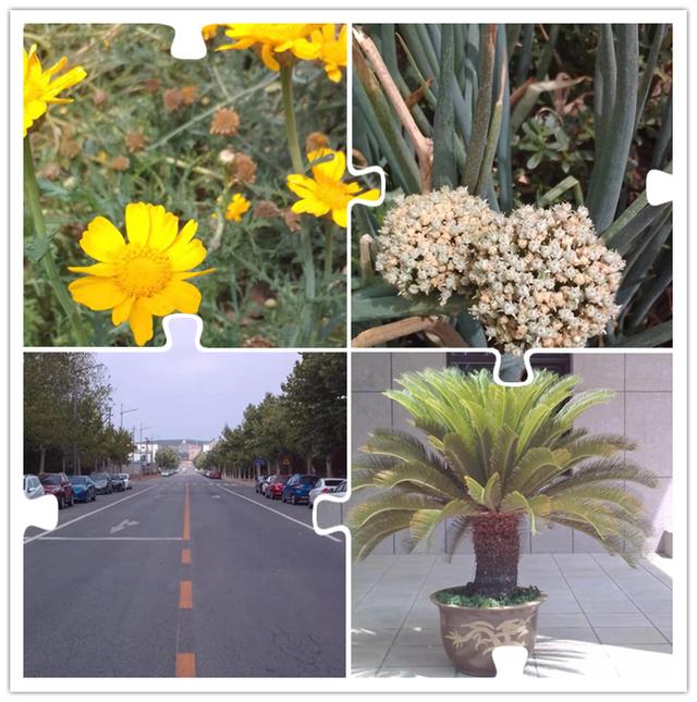 多亲ai手机高级设置,多亲ai助手全面屏手机