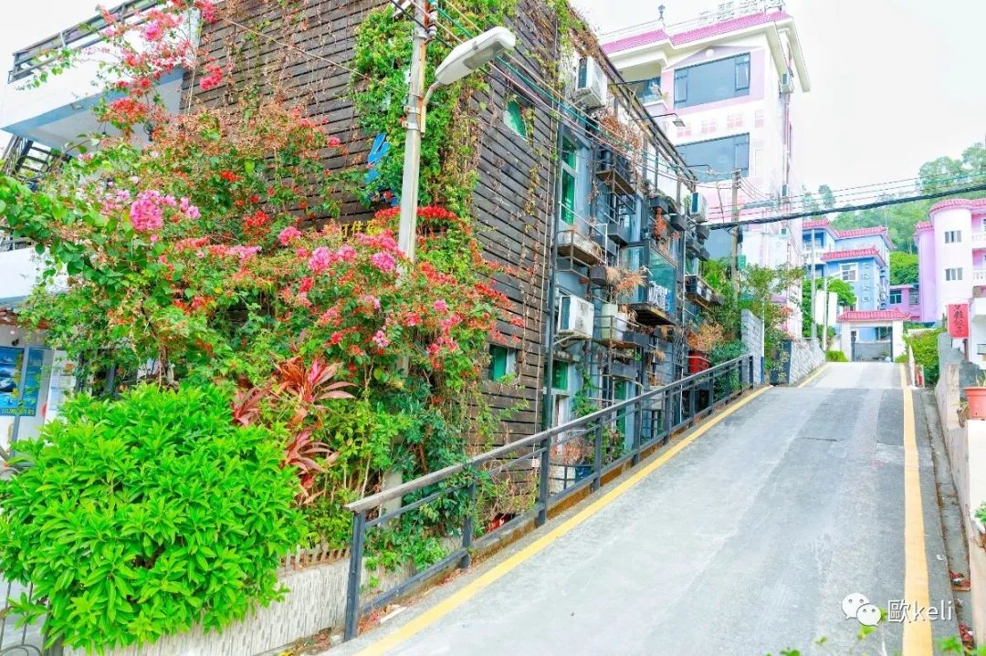 深圳官湖村沙滩游记,深圳冲绳岛游玩攻略