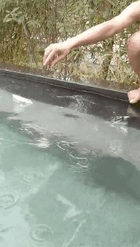 和数学博士的浪漫温泉之旅，他教会了我这些数学知识！