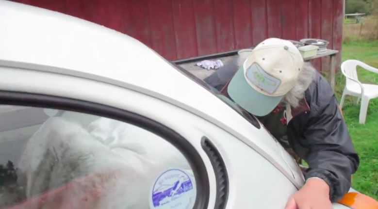 他和未婚妻处了5年,背地里居然买了14个橡胶娃娃!