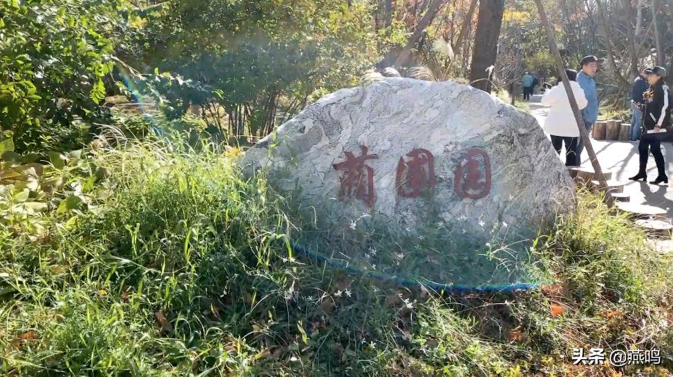 隐藏在城市中的森林,一起走进城市里的森林