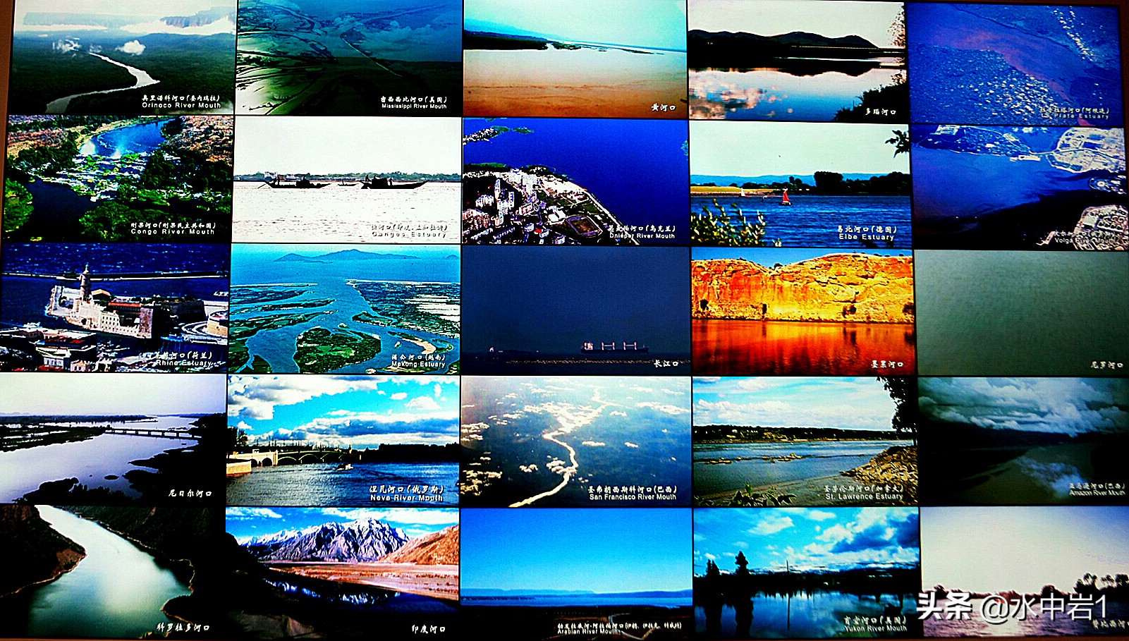 长江流域湿地生态环境保护,长江流域环境保护成果