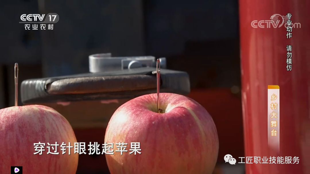 灵宝叉车培训学校,灵宝哪里可以学叉车