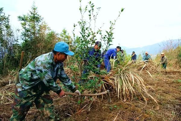 儿童乐园室内消防情景屋设计,500平米儿童乐园消防设计
