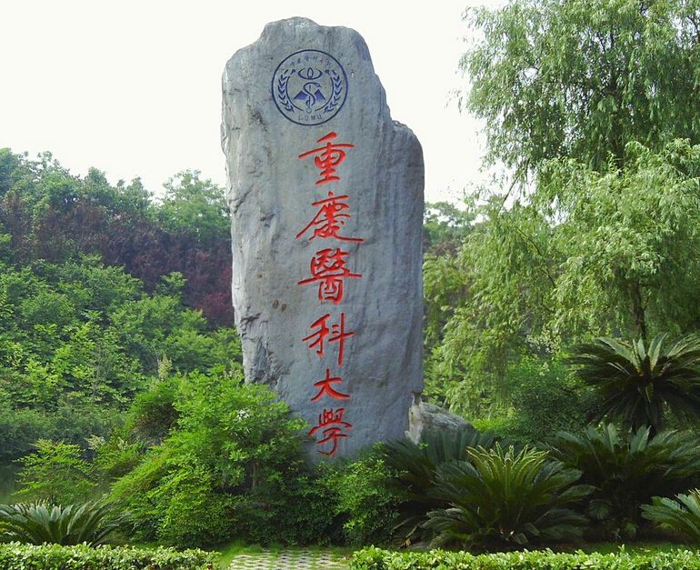 璐靛尰鍜岄噸鍖诲摢涓ソ,鍗忓拰鍖诲闄笌璐靛尰鍏崇郴