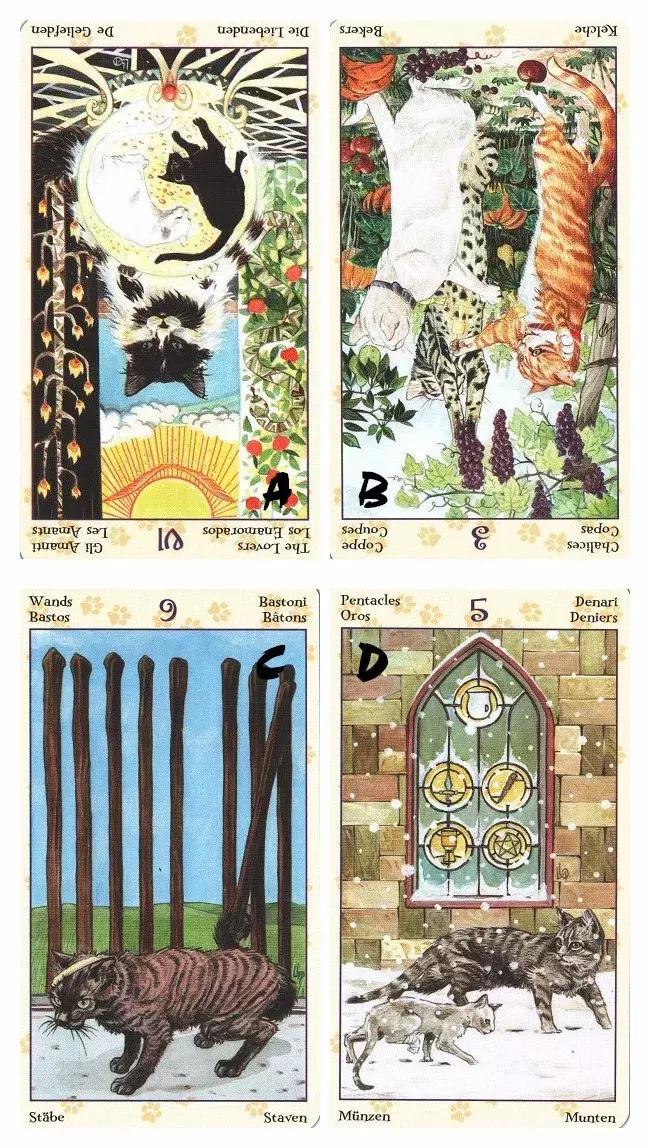 选一张牌看下一个人的感情,凭你第一直觉选一张牌金木水火土