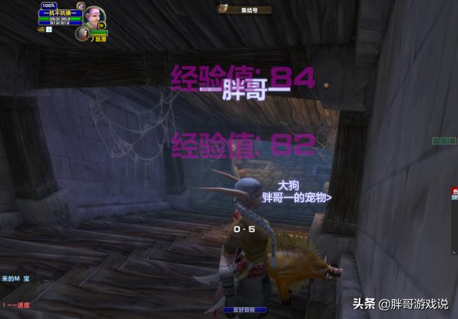 魔兽世界60级奶骑一键宏,魔兽世界60级奶骑天赋