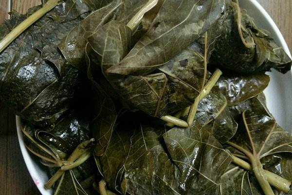 这种树在农村很常见，花名为五月花，果子提炼出的油料可以漆房子