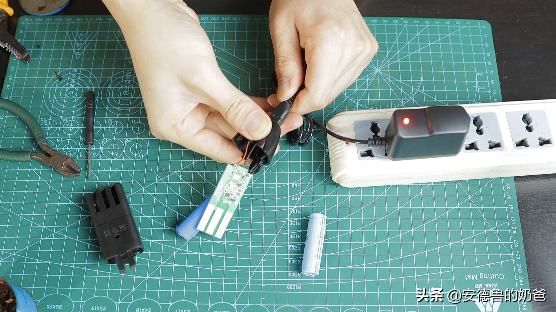 春日vlog完整版,春日vlog竖版