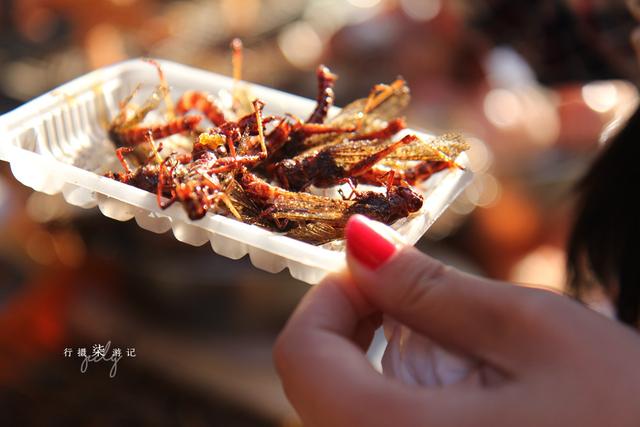 终于要改造了？青岛劈柴院半数商家关张，本地人嫌弃多年