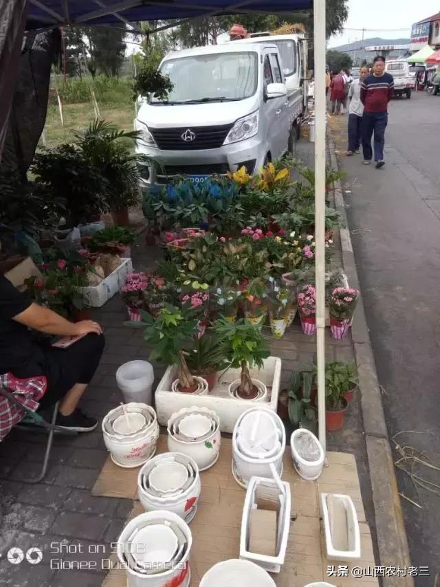 长治老顶山庙会,炎帝庙会图片大全