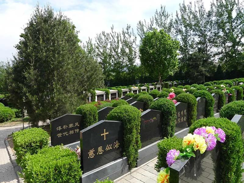 公墓被别人骨灰占了怎么处理,公墓没人缴费会怎么处理