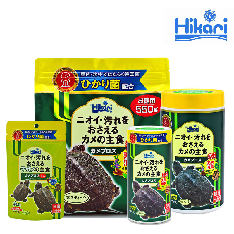 新手养龟买多大龟比较好养,新手养龟哪种龟最好养