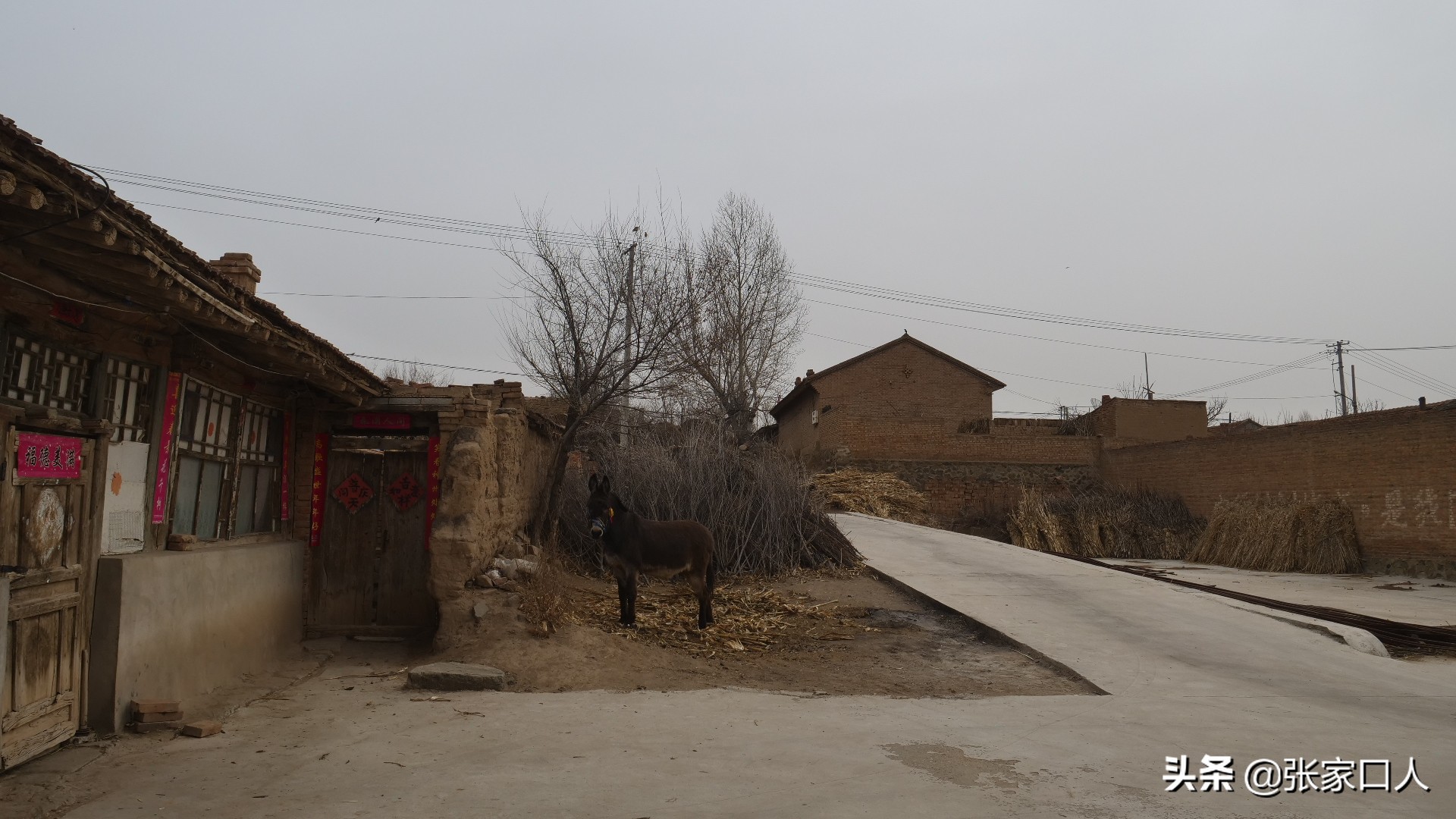 张家口各个县特色美食,张家口各县区的特色美食