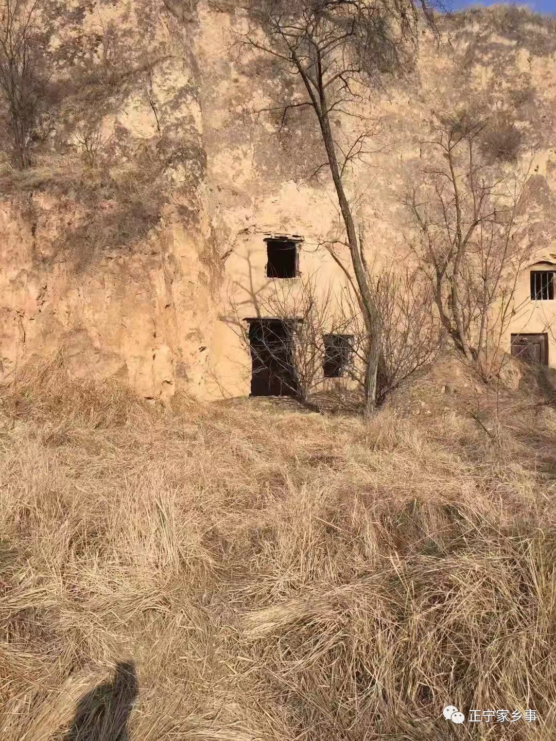 疫情期间蜗居,疫情期间随笔