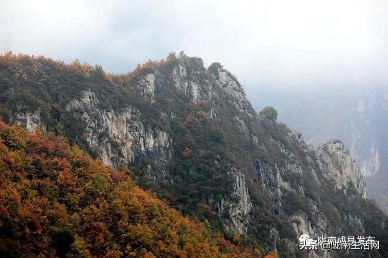 我叫成县，这是我2019年的自拍照