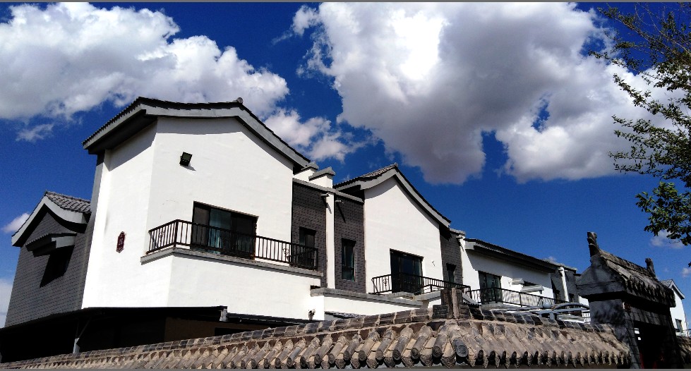 生命的样子文案,生命的样子图片