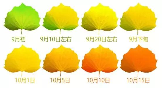 额济纳旅游自由行攻略,额济纳旗旅游最佳省钱攻略