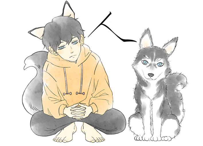 哈士奇无聊挑衅猫,二哈挑衅猫视频