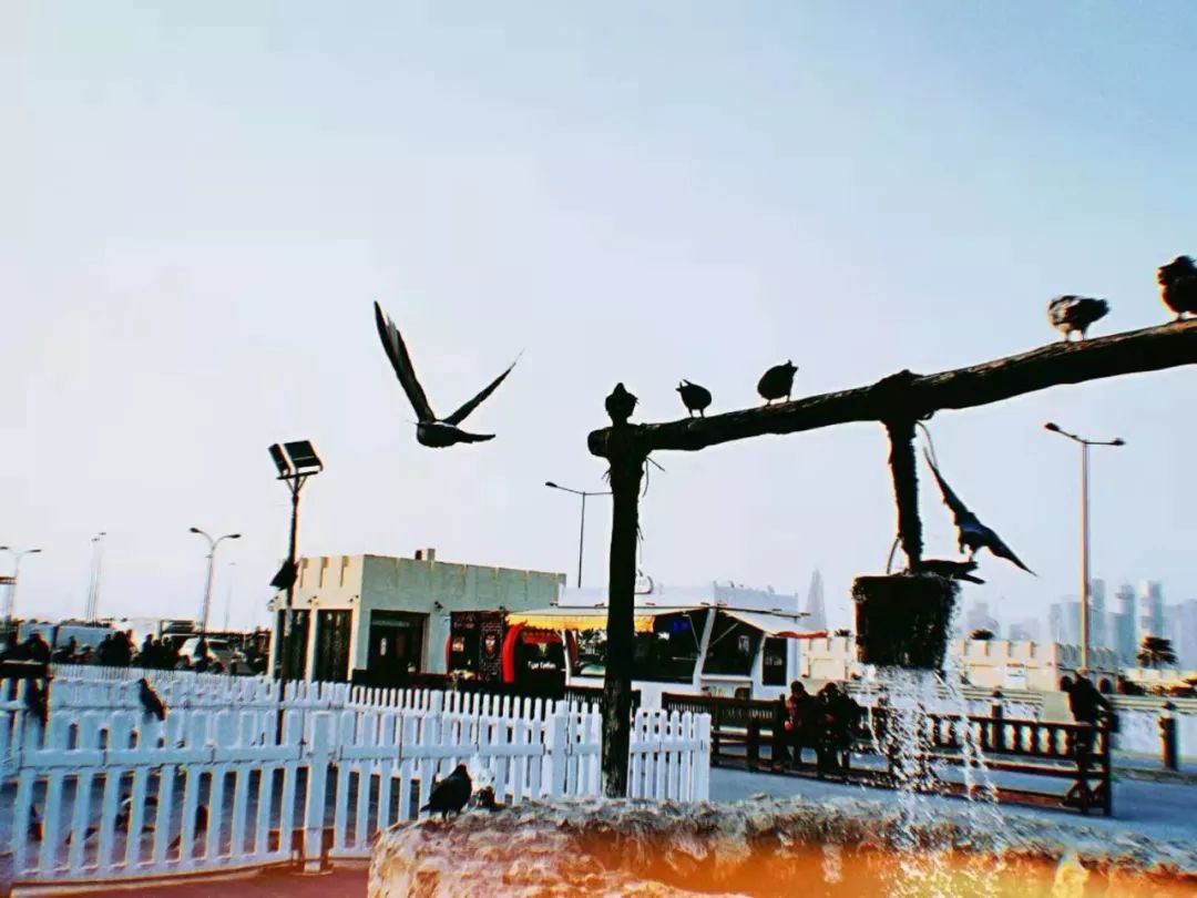 卡塔尔瓦吉夫老市场,卡塔尔批发市场