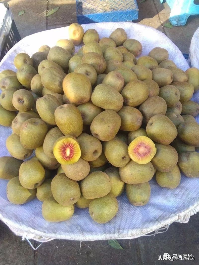 家乡是我们成长的沃土,家乡是生养我们的地方