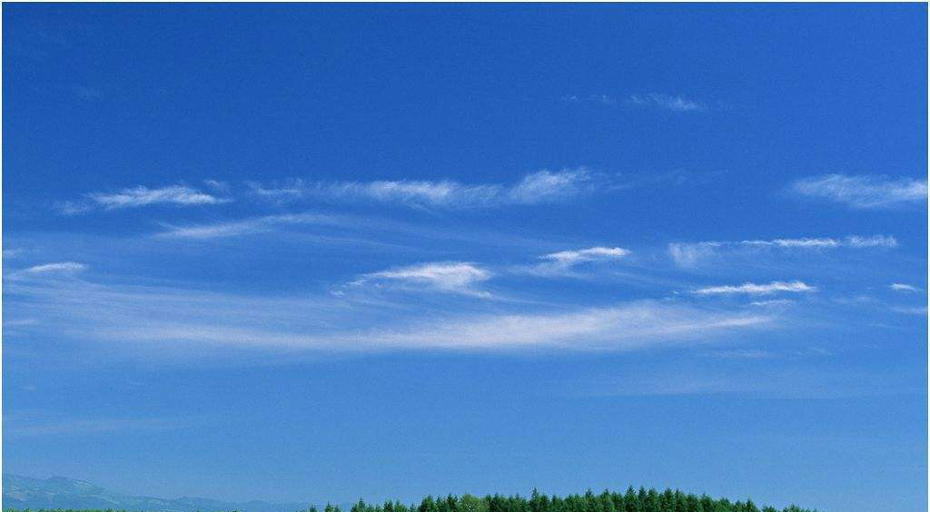 星巴克猫爪杯深夜排队疯抢,星巴克猫爪杯被疯抢了